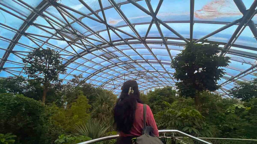 Rainforest in Zoo Zurich - Attractions in Zurich