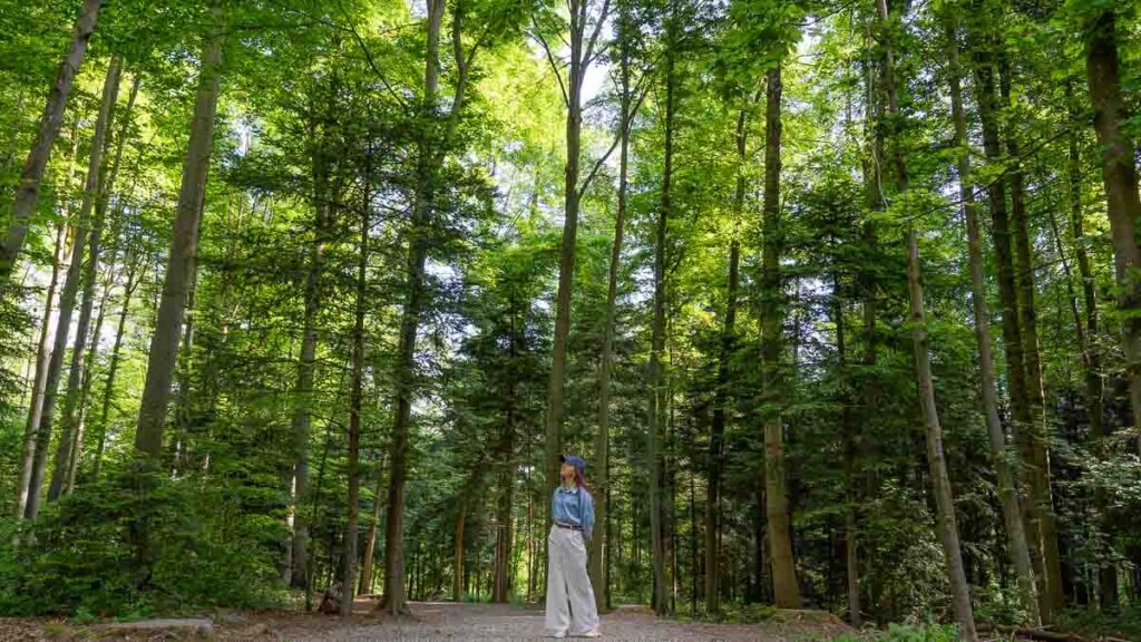 Su standing in the forest in Langenberg Wildlife Park - HIdden gems in Zurich