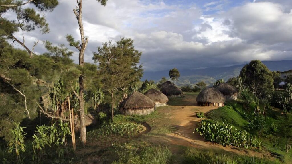 Mount Hagen Villages - Things to Do in Mount Hagen