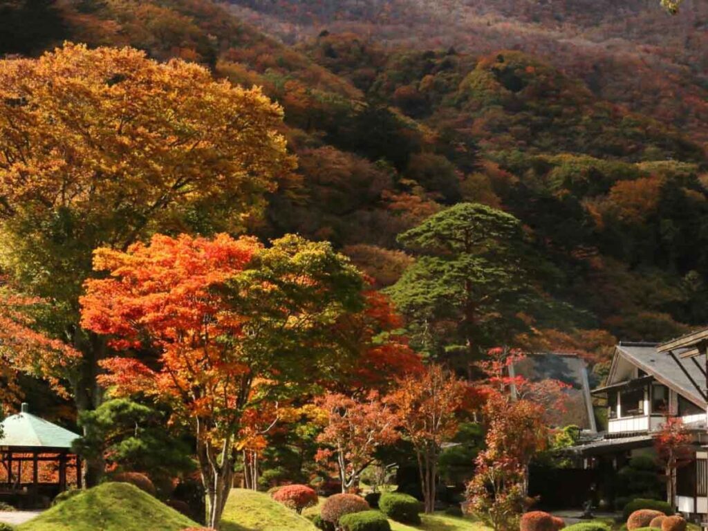 Autumn foilage in Nasushiobara - Ryokans in Tokyo