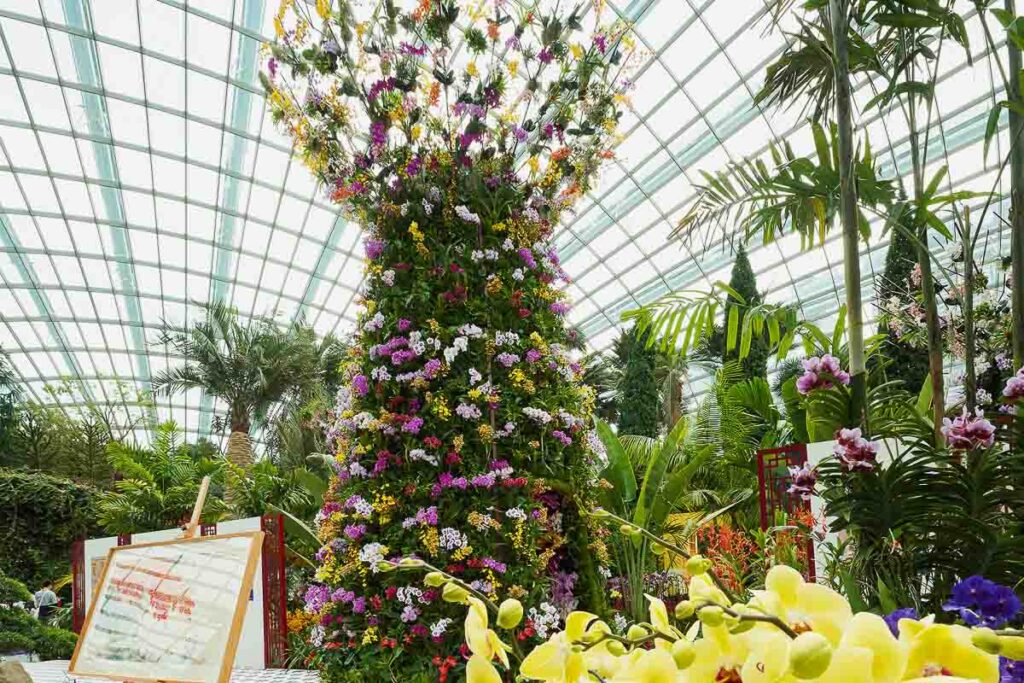 Orchid Extravaganza GBTB Flower Dome - Presidential Library - New Things to Do in Singapore August 2025
