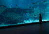 Singapore Oceanarium featured image