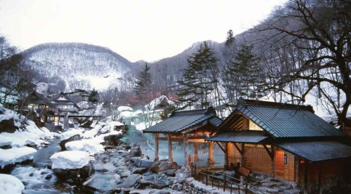 11 Best Ryokans near Tokyo with Private Onsens — Atami, Minakami, Nasushiobara