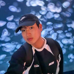 WAYNE CHIA THE TRAVEL INTERN