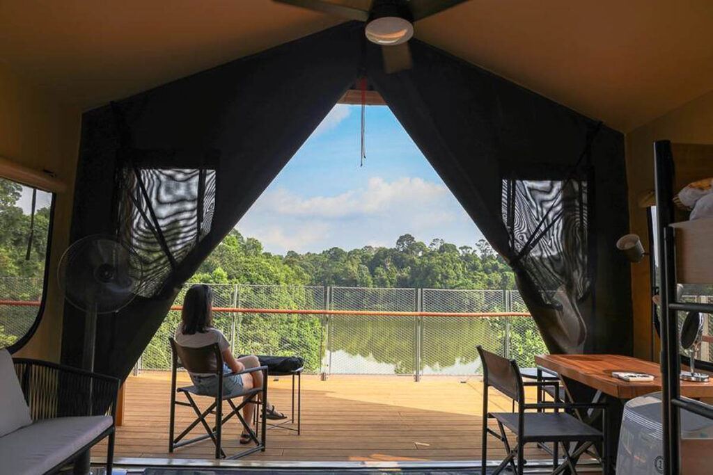 Colugo Camp at Mandai - New Things to Do in Singapore August 2025