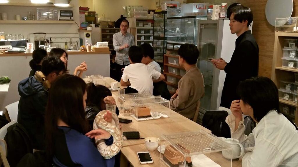 People at Pythonism Cafe  - Family-friendly things to do in Taiwan