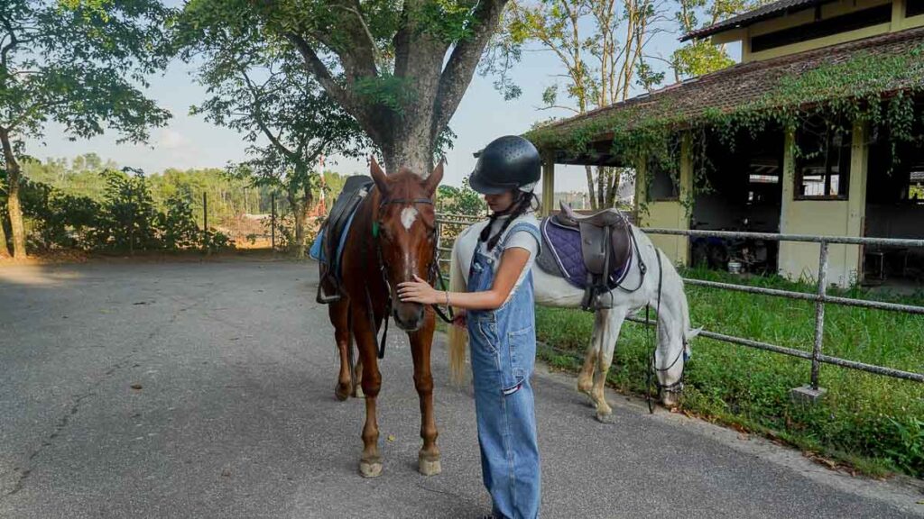girl petting her horse