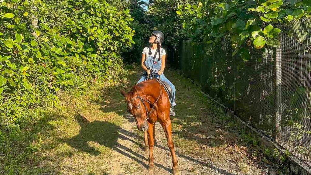 girl riding horse