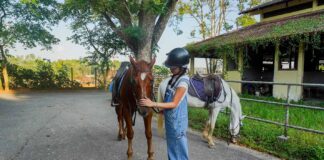 girl petting horse