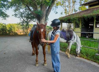 girl petting horse