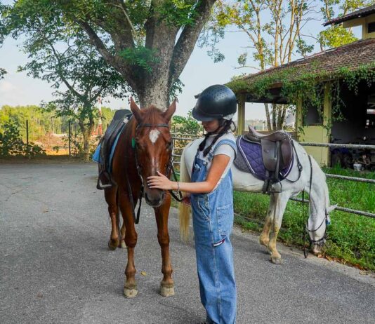 girl petting horse