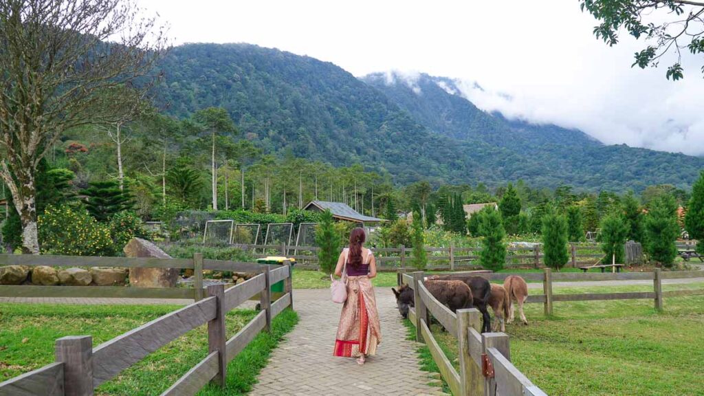 Bali Farm House Mountain - 3d2n Bali Itinerary