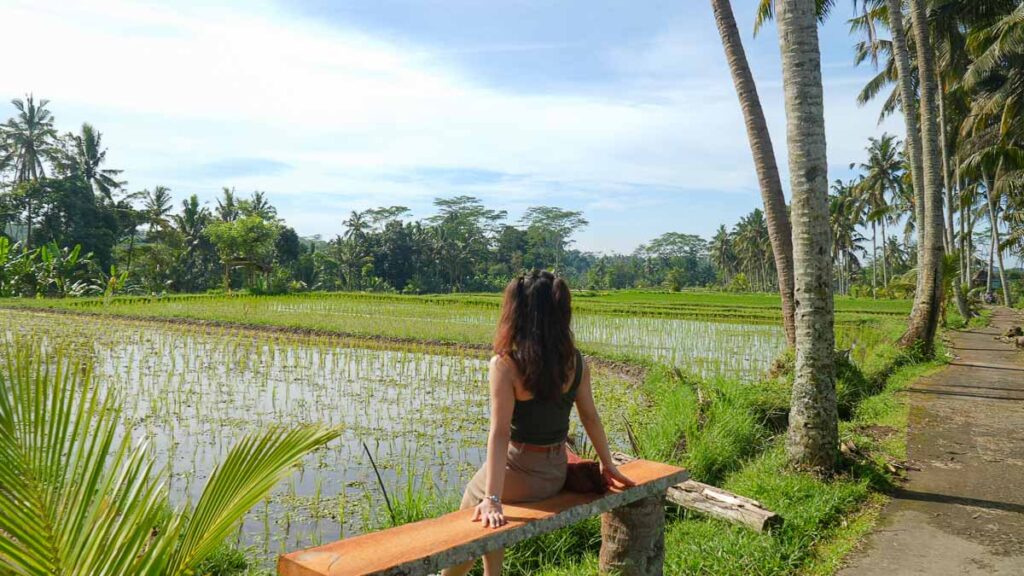 Gril Sitting on Bench at Banjar Mancingan Rice Field - 3d2n Bali Itinerary