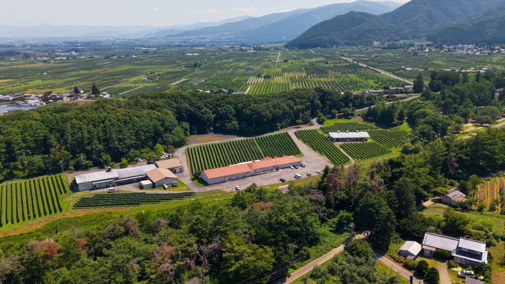 Drone shot of Azumino Winery - Things To Do in Azumino