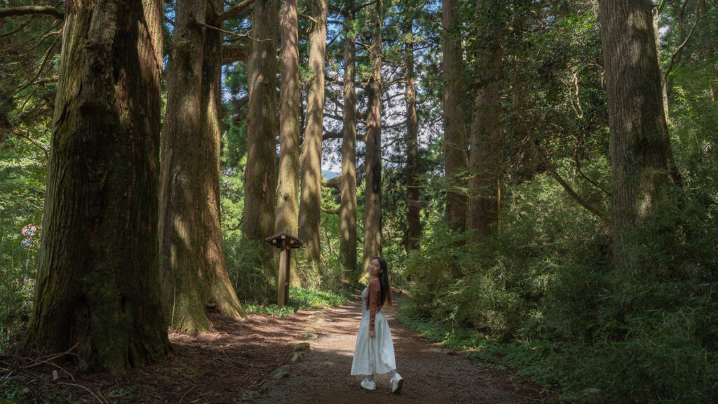 Girl walking through old tokaido road – Hakone Itinerary