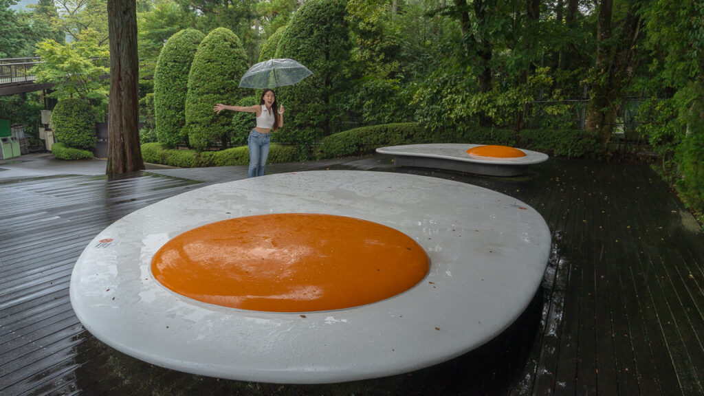 Hakone Open Air Museum Fried Eggs – Hakone Itinerary