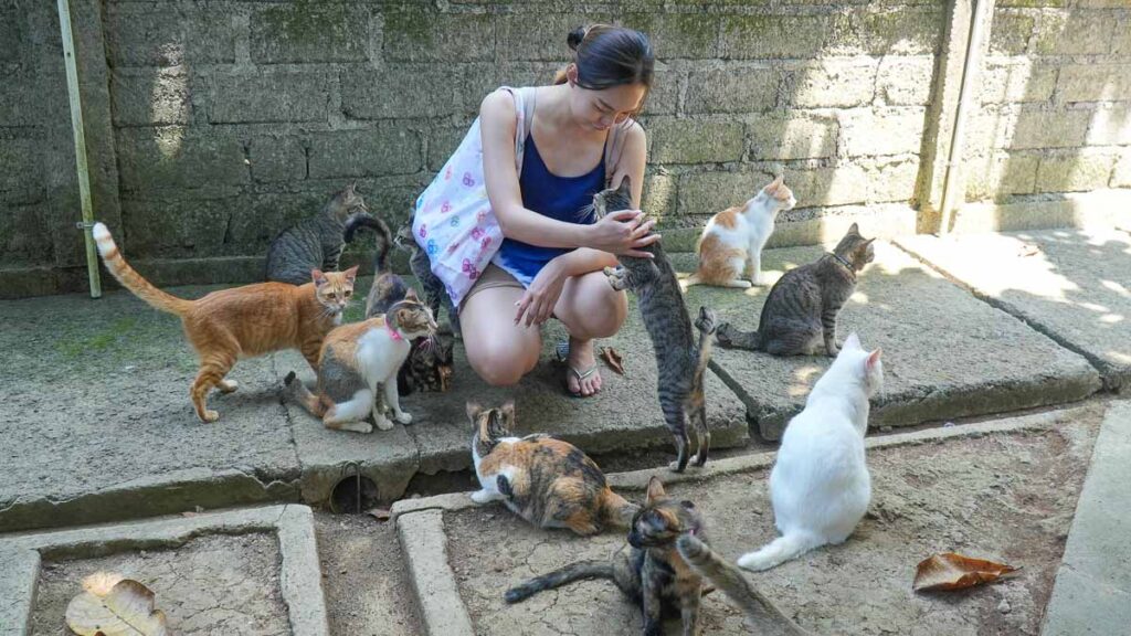 Girl at Villa Kitty Foundation - 3d2n Bali Itinerary