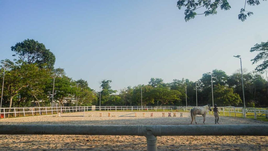horse ranch