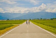 9 Unique Things to Do in Azumino that You Can’t Do in Tokyo or Osaka — Wasabi Harvesting, Canyoning, & More Featured Image - Things to do in Azumino