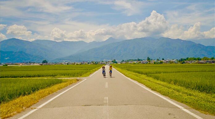 9 Unique Things to Do in Azumino that You Can’t Do in Tokyo or Osaka — Wasabi Harvesting, Canyoning, & More Featured Image - Things to do in Azumino
