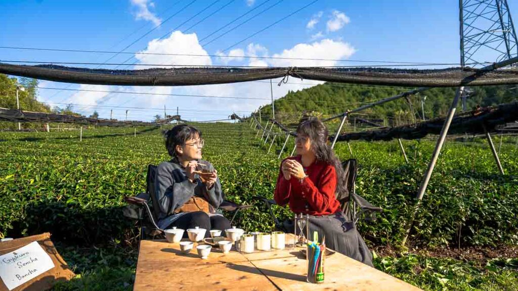 Girls sampling tea at a green tea plantation in Ayabe - Kyoto by the Sea things to do