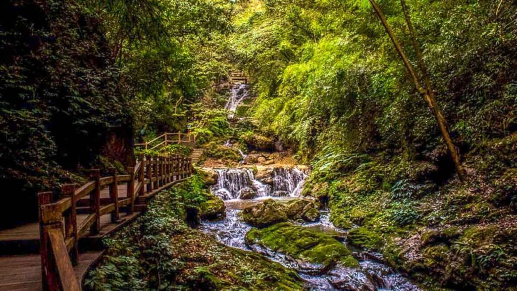 View of the trail on the Black Mountain Valley, with a gentle river flowing downstream alongside a lush forest.