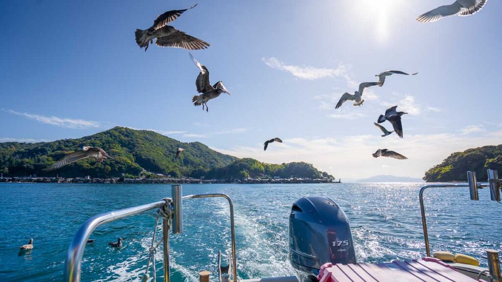 Sea taxi in Ine fishing village - Kyoto prefecture things to do
