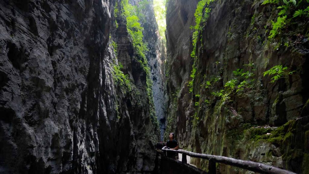 Person looking up from the depths of a fissure gorge at Wuling Mountain Great Rift Valley