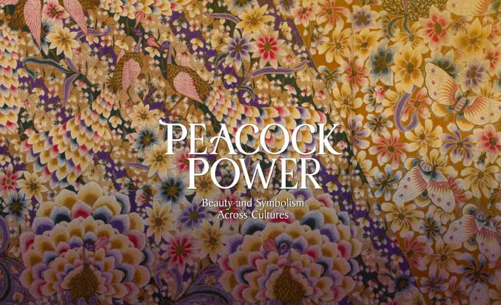 Peacock Power Peranakan Museum - Things to Do in Singapore January 2026