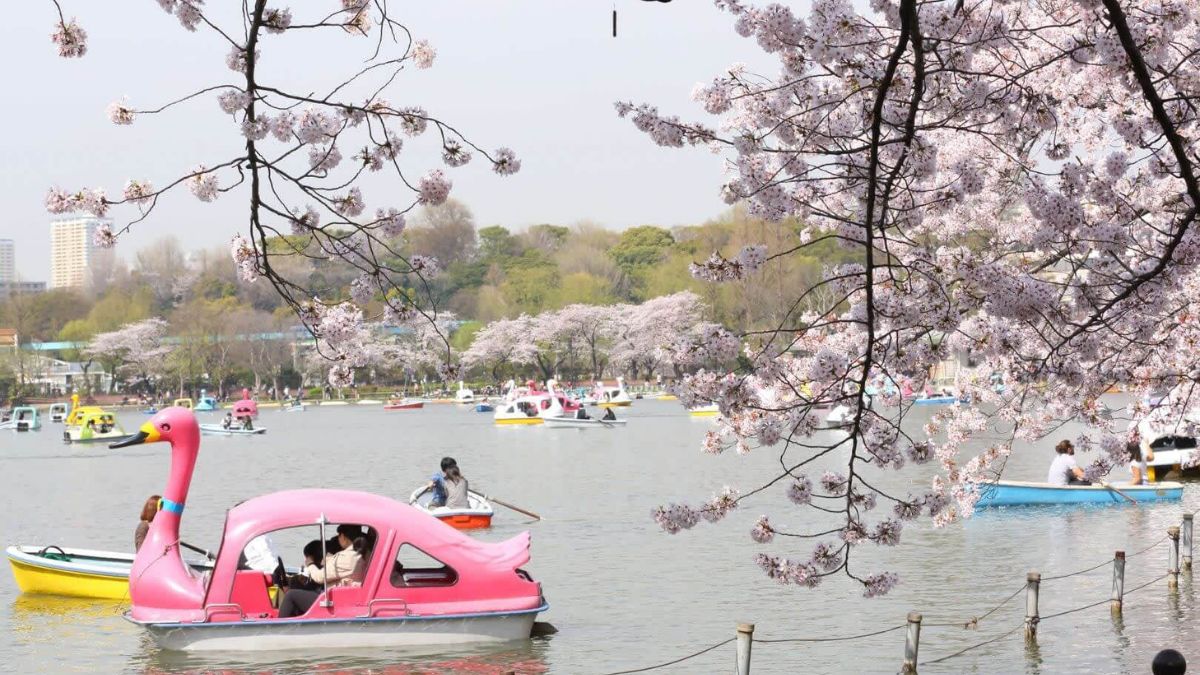 Ueno Park - Tokyo Hotels for Families