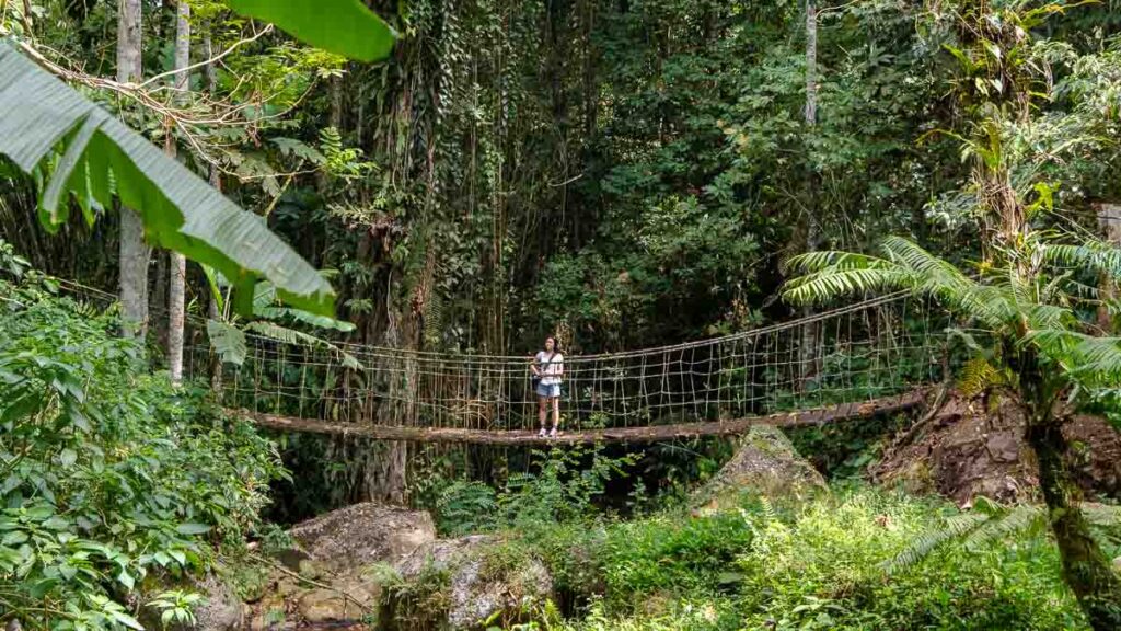 Girl on a hanging rope bridge on the Eden Mountain Trail - Davao attractions