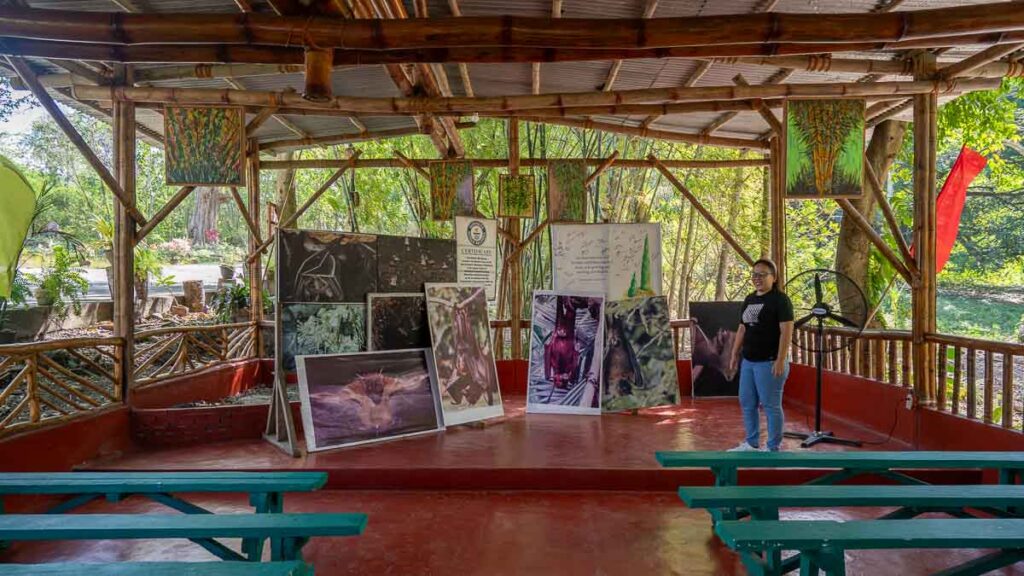 Lobby of the Montfort Bat Sanctuary on Samal Island - Davao Things to do