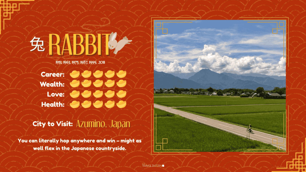 Reading for Rabbit - Destinations to Go Based on Your Zodiac Sign in the Year of the Horse 2026