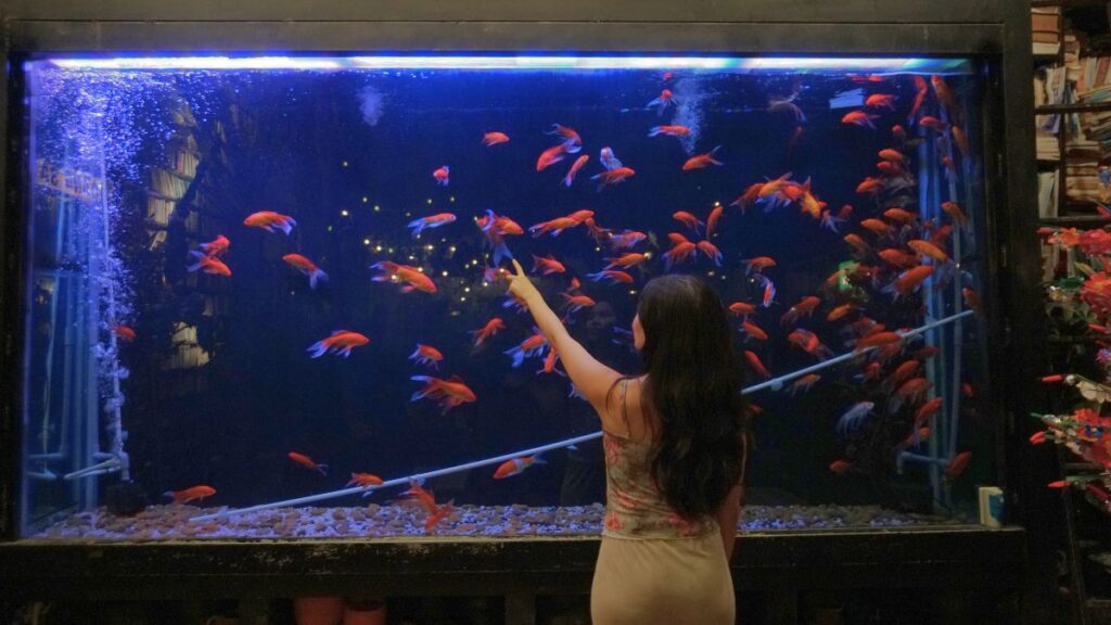 Girl looking at Ngam Cafe Aquarium - Cafes in Saigon