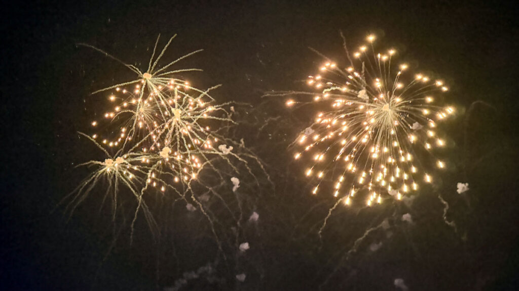 The Lion King Celebration in the Sky - Disney Adventure Cruise Review