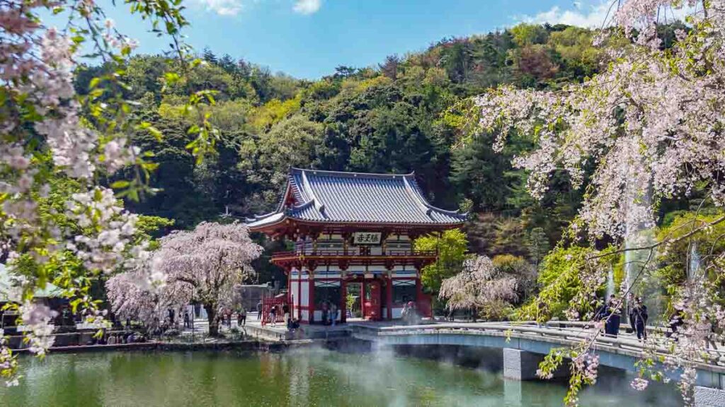 Temple entrance with cherry blossoms - Lesser-known things to do in Osaka