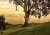 Featured Img Cover - South Australia Winter Guide