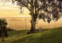 Featured Img Cover - South Australia Winter Guide