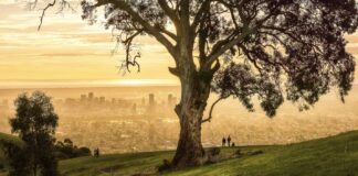 Featured Img Cover - South Australia Winter Guide