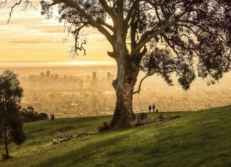 South Australia Winter Guide — 7 Unforgettable Things to Do in This Underrated State Featured Img Cover - South Australia Winter Guide