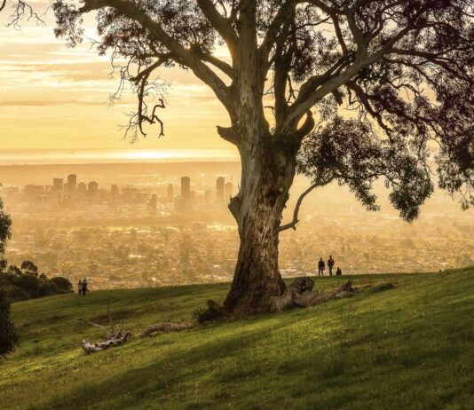Featured Img Cover - South Australia Winter Guide