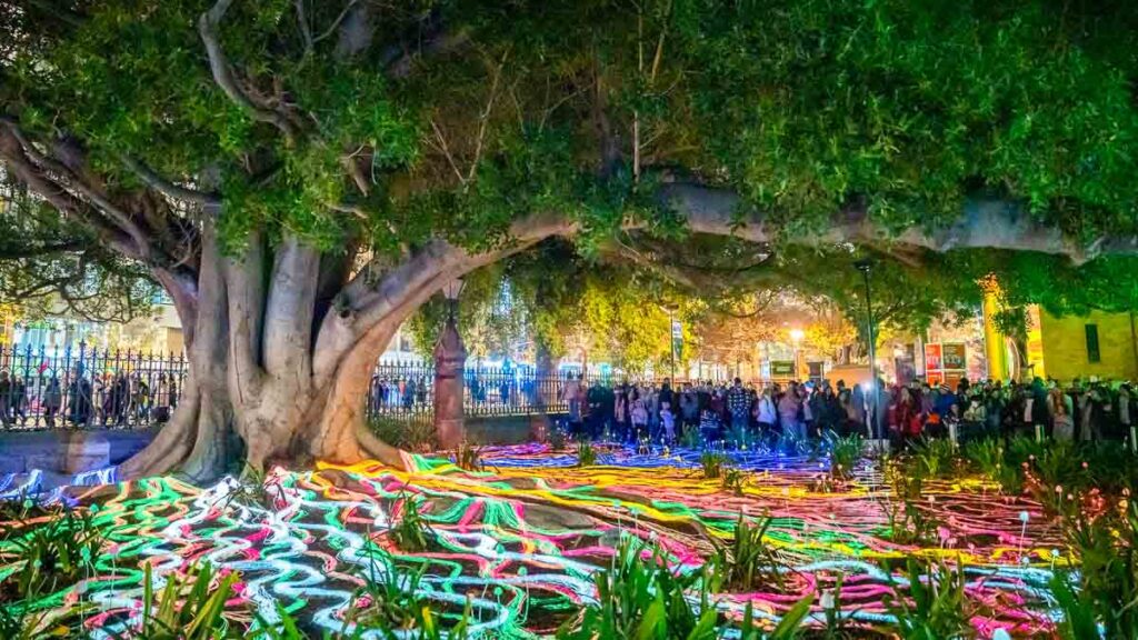 Illuminate Adelaide Festival - South Australia Things to do