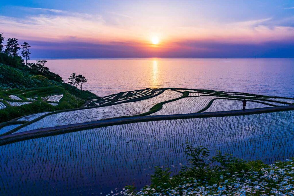 Sunset Overlooking Shiroyone Senmaida Rice Terraces - Noto Pokemon Airport