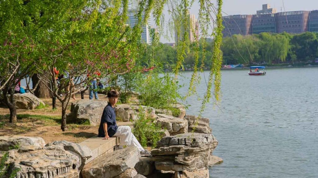 Man sitting beside lake in a Flower Garden - Beijing Itinerary