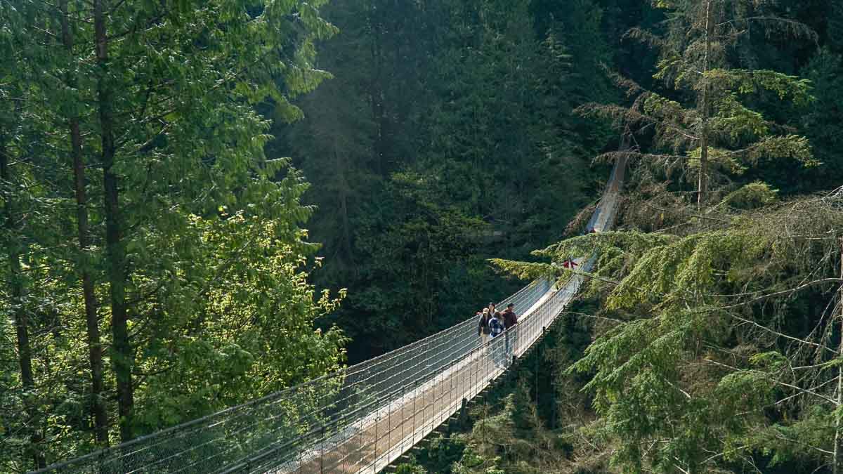 Suspension bridge in forest - Vancouver day trips