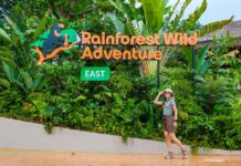 FEATURED IMG - Things to Do in Singapore June 2026