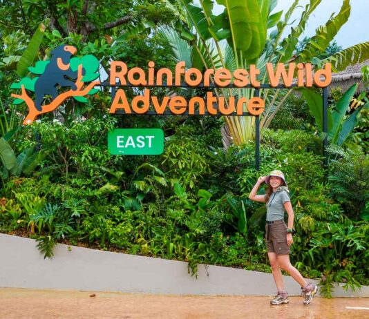 FEATURED IMG - Things to Do in Singapore June 2026