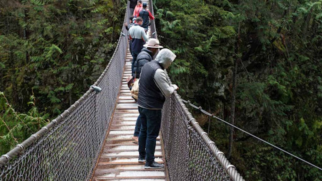 People on suspension bridge in forest - Things to do in Vancouver