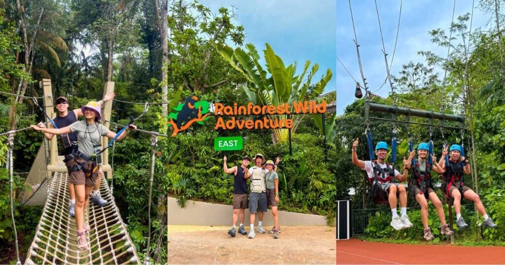 Collage of images taken at Rainforest Wild Adventure - Things to Do in Singapore 2026
