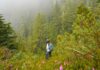 Vancouver Guide - Featured Image